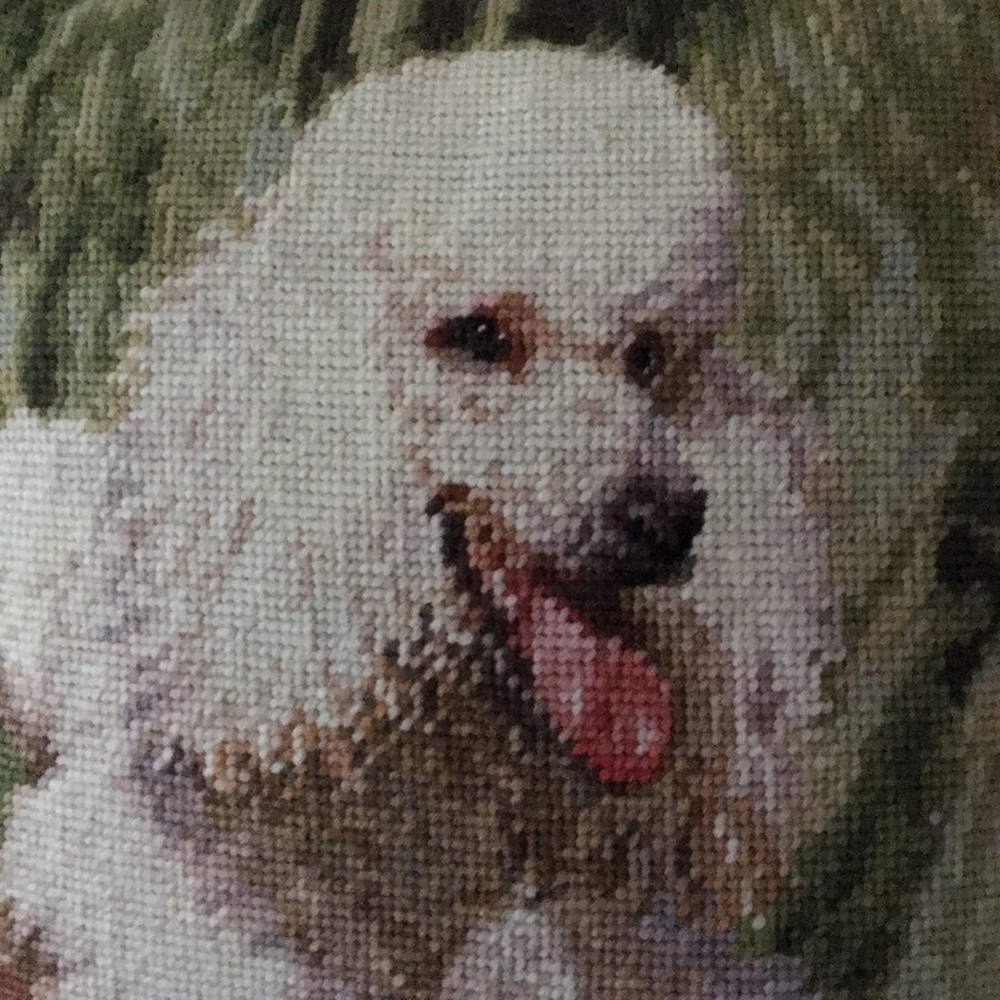 Meet your Posher, Anna